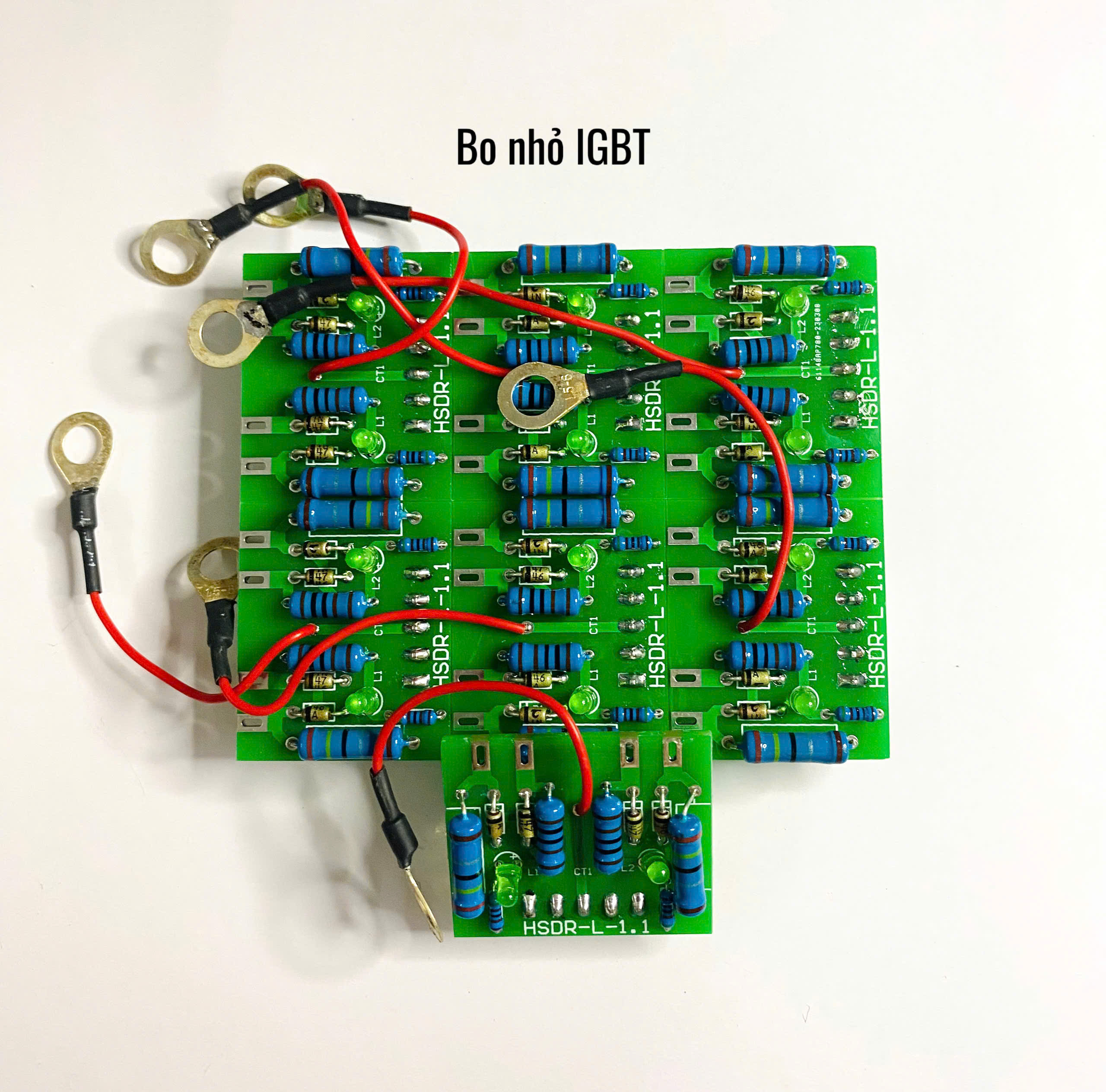 BO NHỎ IGBT